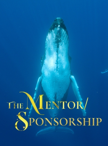 Bilder fuer Project (370 x 500 px) (1)