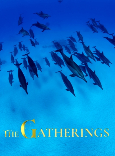 The Gatherings